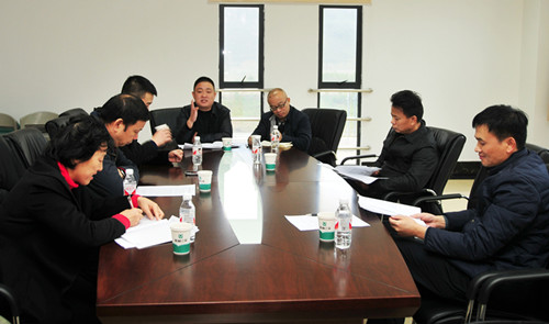 桂林市委常委、秘书长张晓武到中药城指导协调项目工作